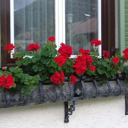 Ferienwohnung Miklautsch * Greifenburg